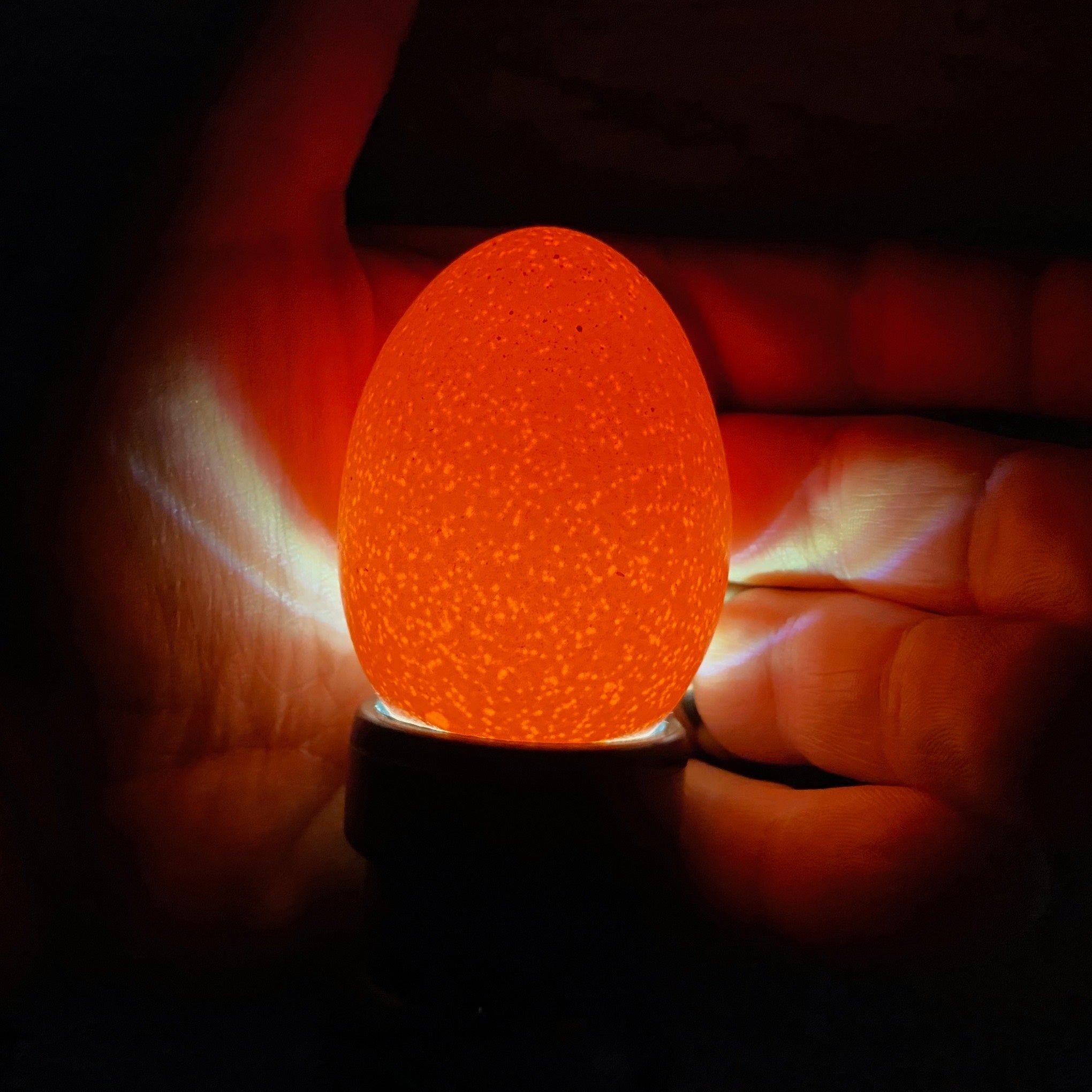 Hatching Time image of an egg being candled. showing the inside of the egg using a light. A hand is behind the egg.