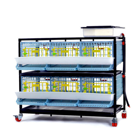 Hatching Time Cimuka. Quail cage 2 layer visible with feeding trough and roll out egg tray visible on front. Water reservoir tank on top of cage. Cage is on rolling casters for mobility.