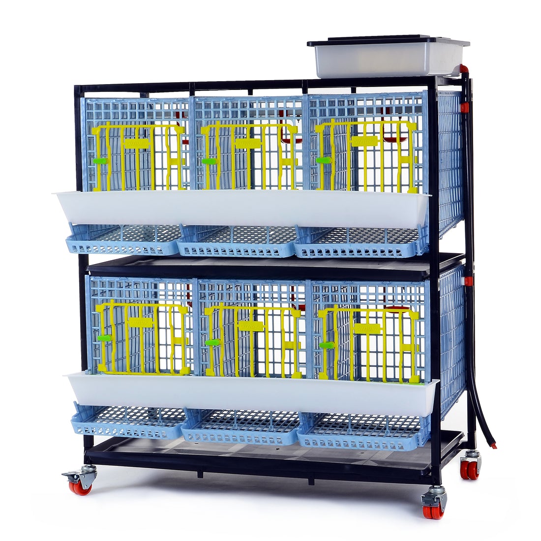 Hatching Time Cimuka. Partridge cage can be seen in image with feeder trough on front, roll-out egg tray, and water reservoir on top of cage connected to automatic drinker system.
