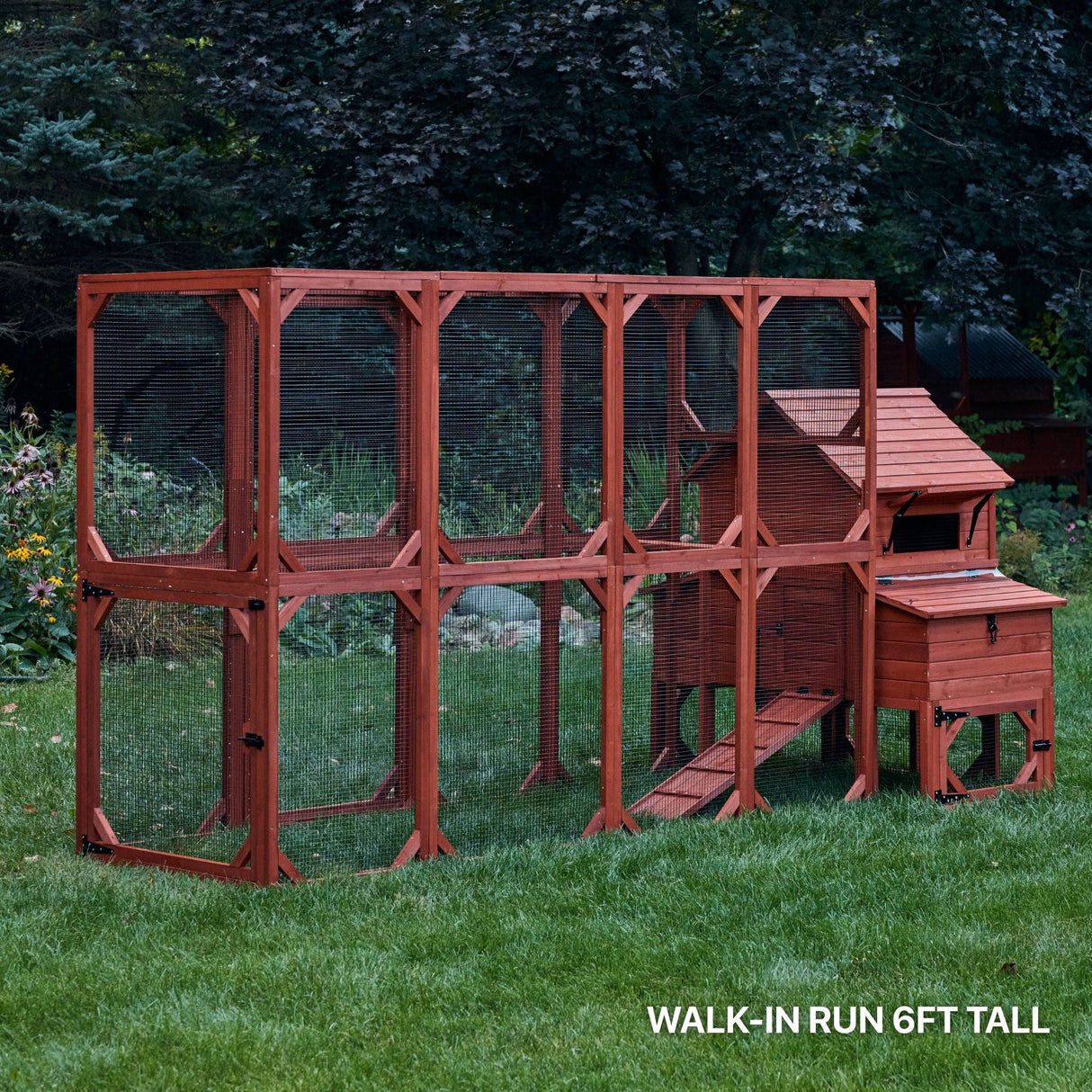 Chicken Coop for 6 Chickens - Orpington Lodge with Run Options