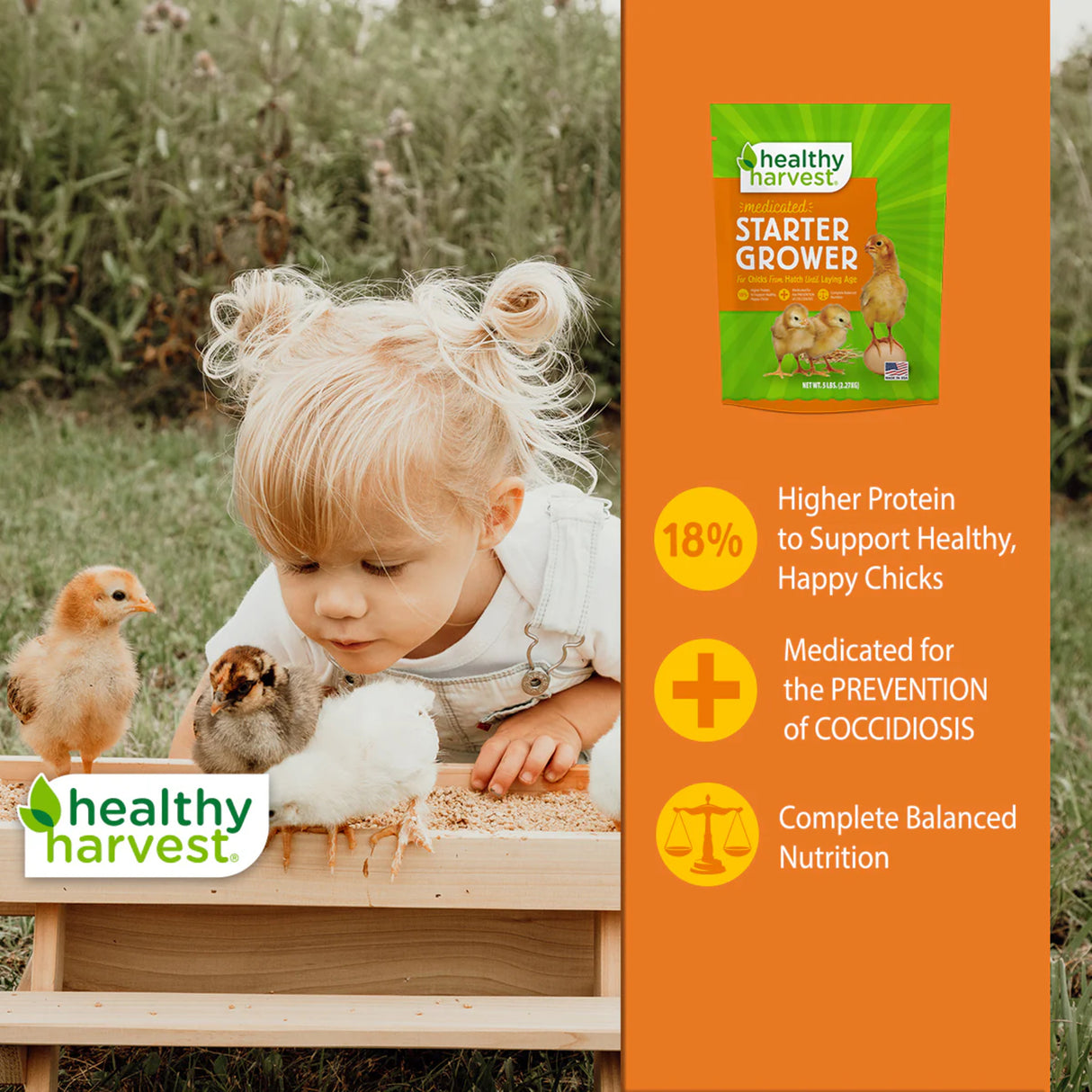 Hatching Time Healthy Harvest. Medicated Starter grower. A girl can be seen close to 3 chicks by feeder. Starter grower bag can be seen on right side of image.