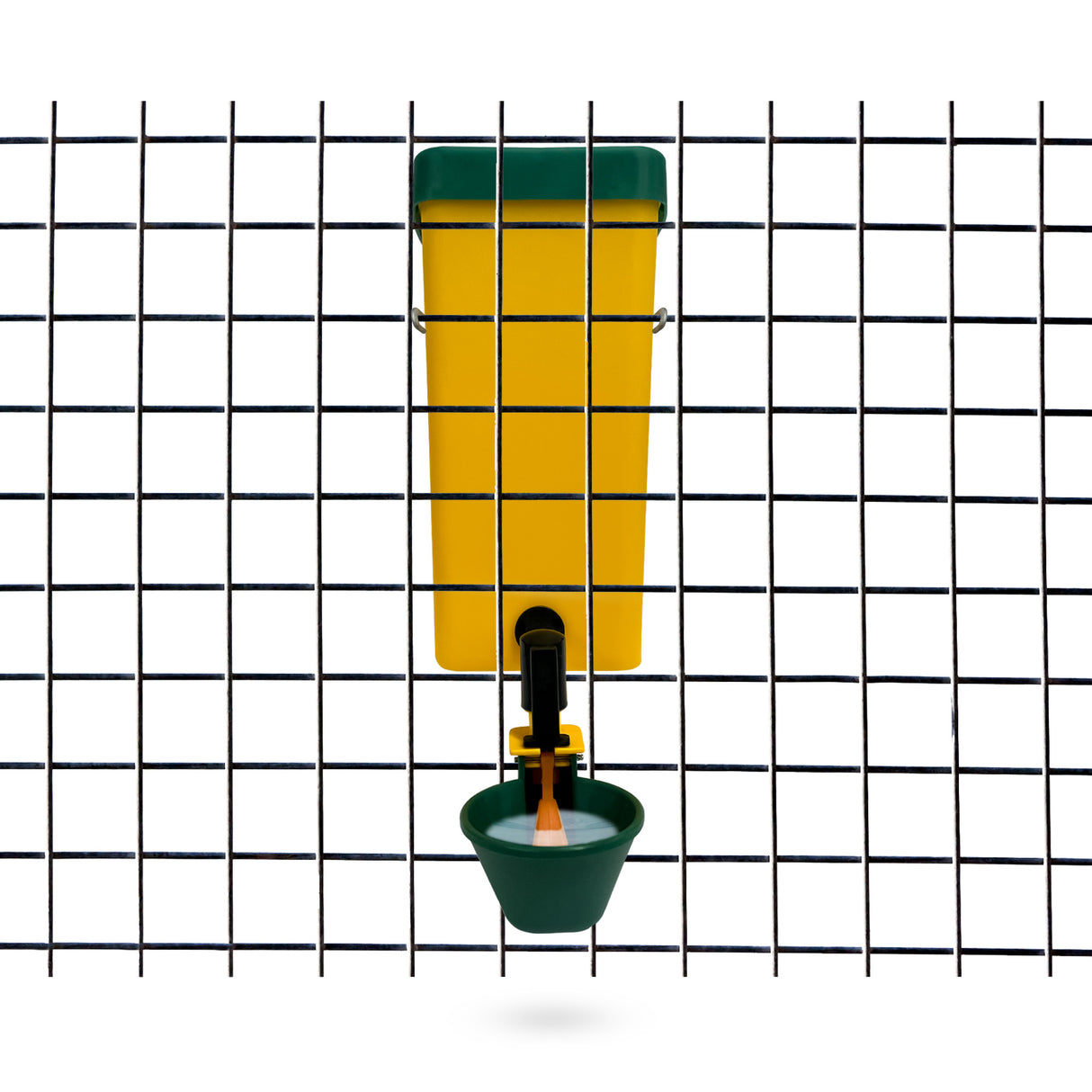 1L poultry drinker with auto-fill cup mounted on wire mesh for chickens and small poultry