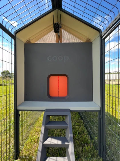 Hatching Time Smart Coop. Interior of chicken run can be seen facing chicken coop entrance