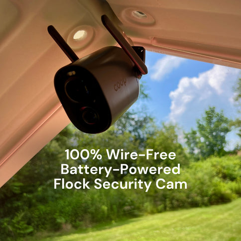 Hatching Time. Coopcam an be seen installed on roof of chicken coop.