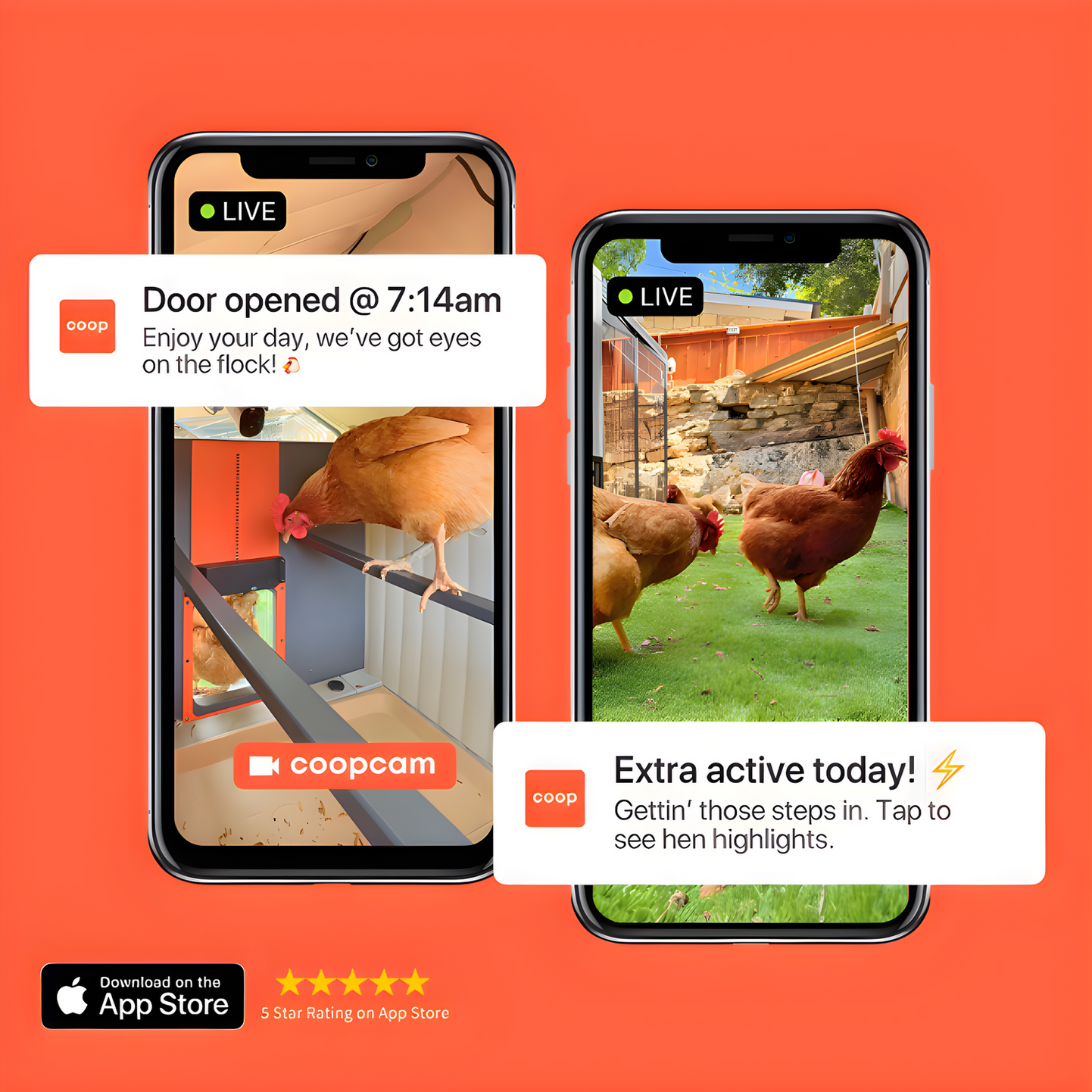 Hatching Time Smart Coop. Infographic shows monitoring of chickens with built in camera and app available on Apple Store.