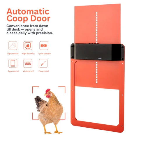 Hatching Time automatic coop door can be seen in image.