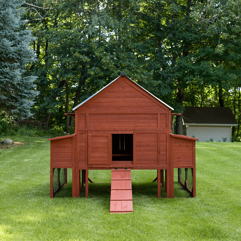 Chicken Coop for 15-18 Chickens - Brahma Large Coop w/ Run Options