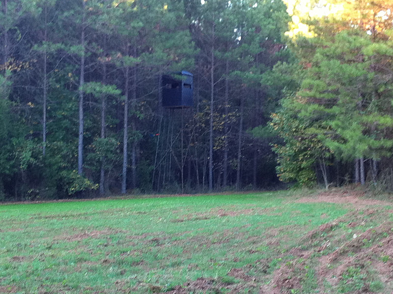 4x4 Hunting Blind surrounded by trees