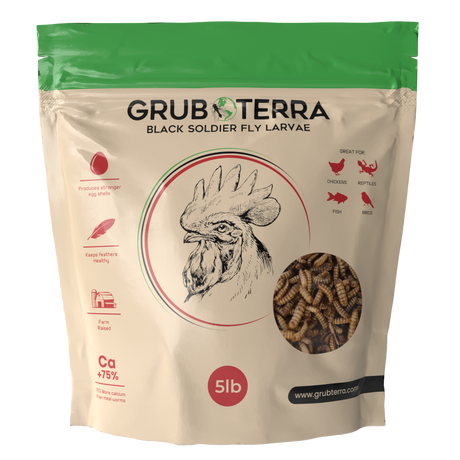 Hatching Time Grub Terra. Black Soldier Fly Larvae. Front of bag can be seen in image.