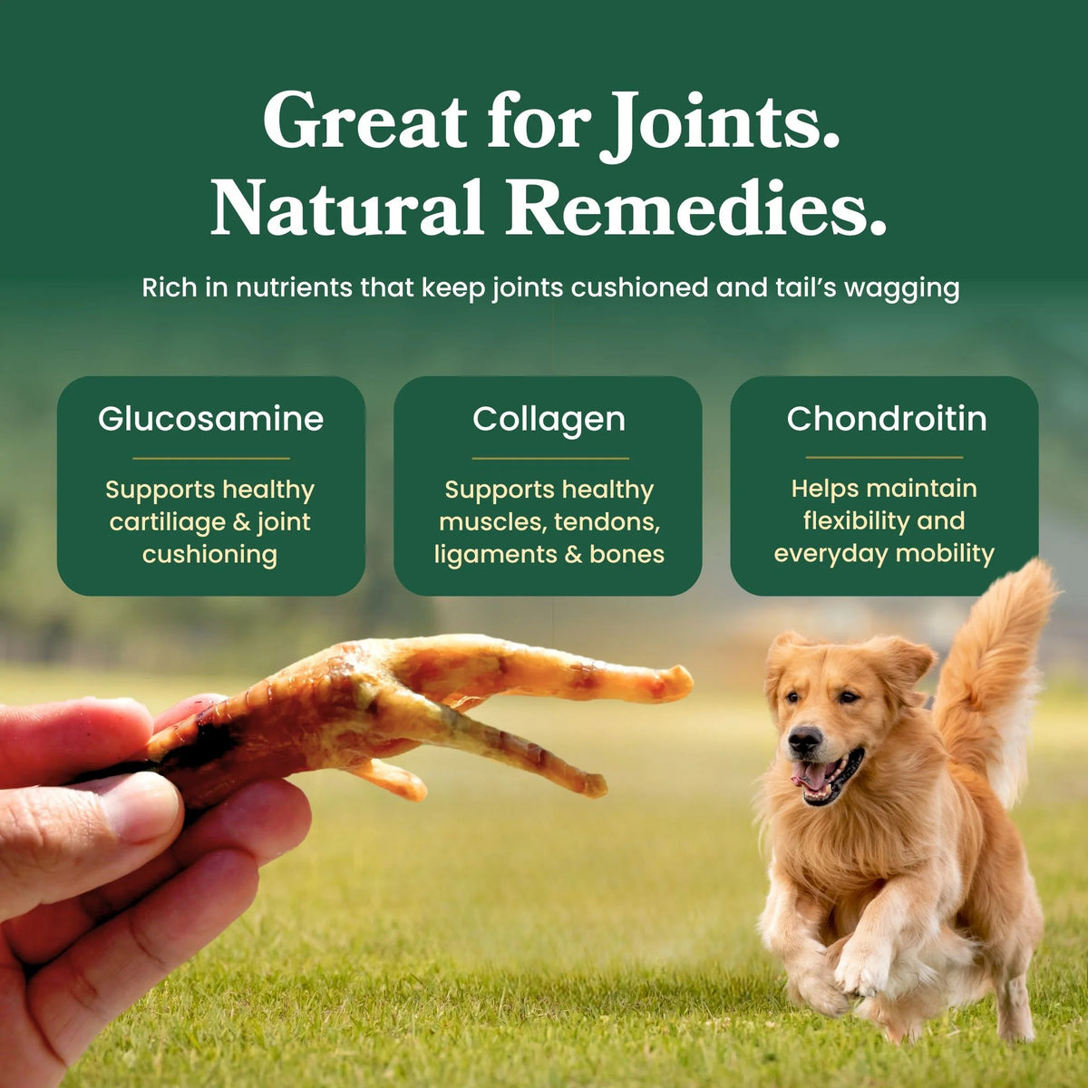 Chicken Feet - Dog Treats