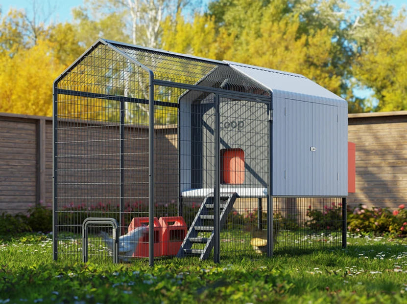 Hatching Time Smart Coop. Chicken coop and run with a chicken inside can be seen on grass.