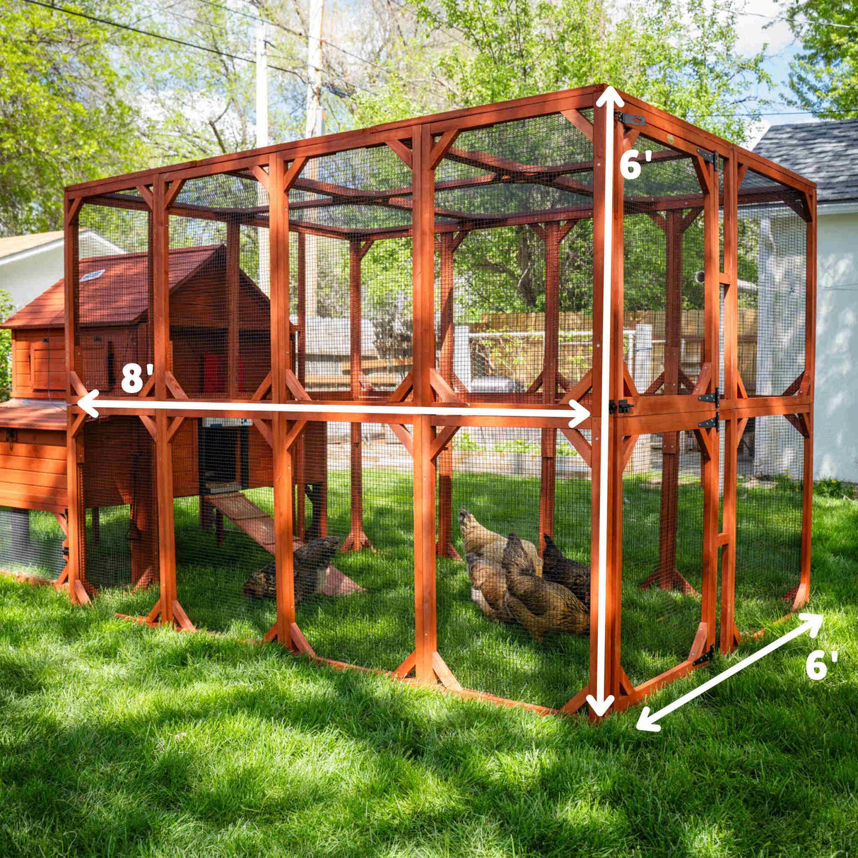Chicken Coop for 10 Chickens - Rhode Island Homestead w/ Run Options
