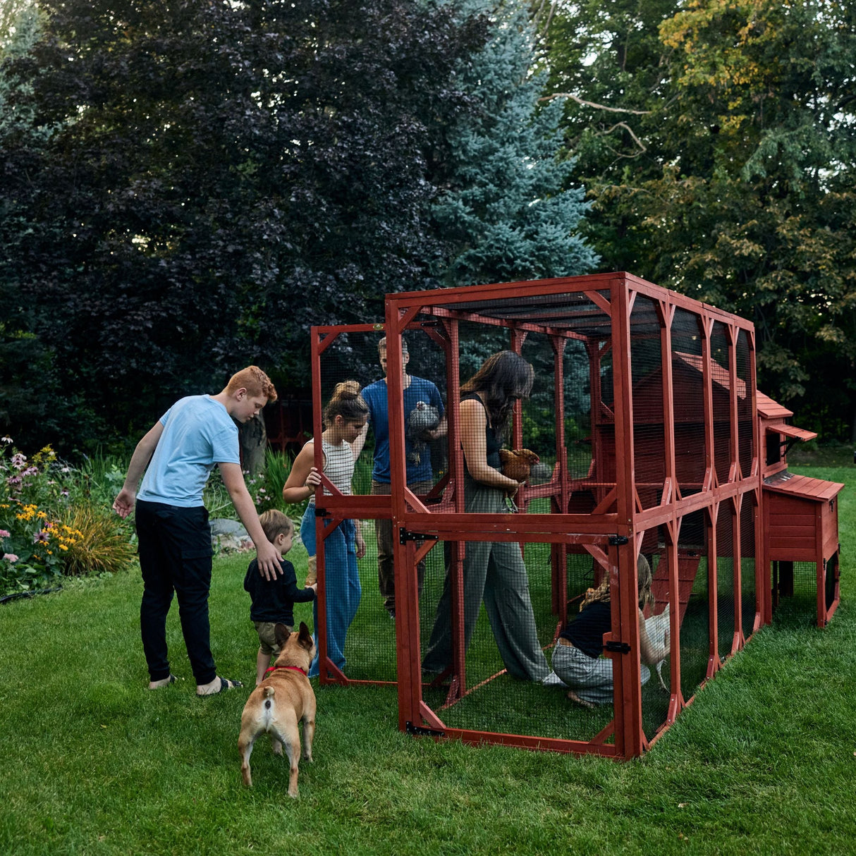 Chicken Coop for 10 Chickens - Rhode Island Homestead w/ Run Options