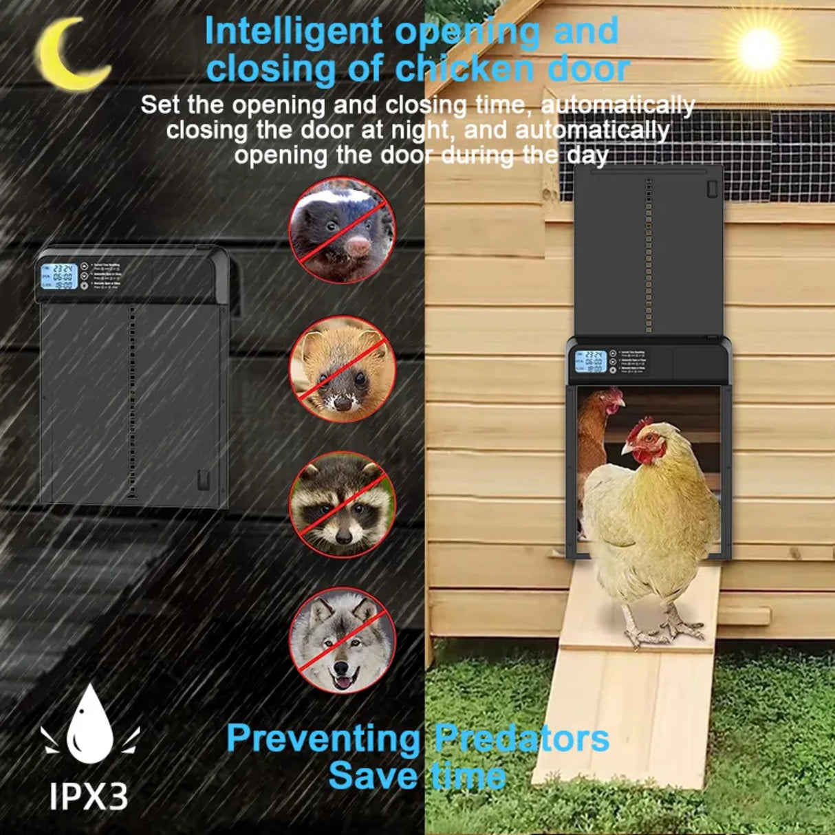Hatching Time. Automatic Coop Door can be seen in day and night settings showing he predator prevention benefits of an automatic coop door. IPX3 Rating can be seen in bottom left of image.