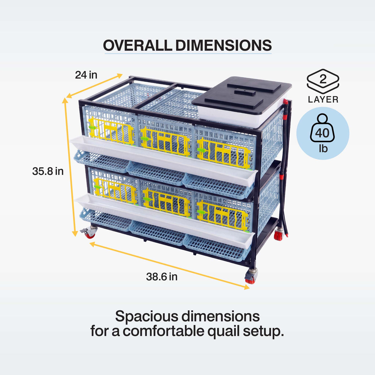 Two-layer quail breeding cage dimensions: 38.6 inches wide, 24 inches deep, and 35.8 inches high