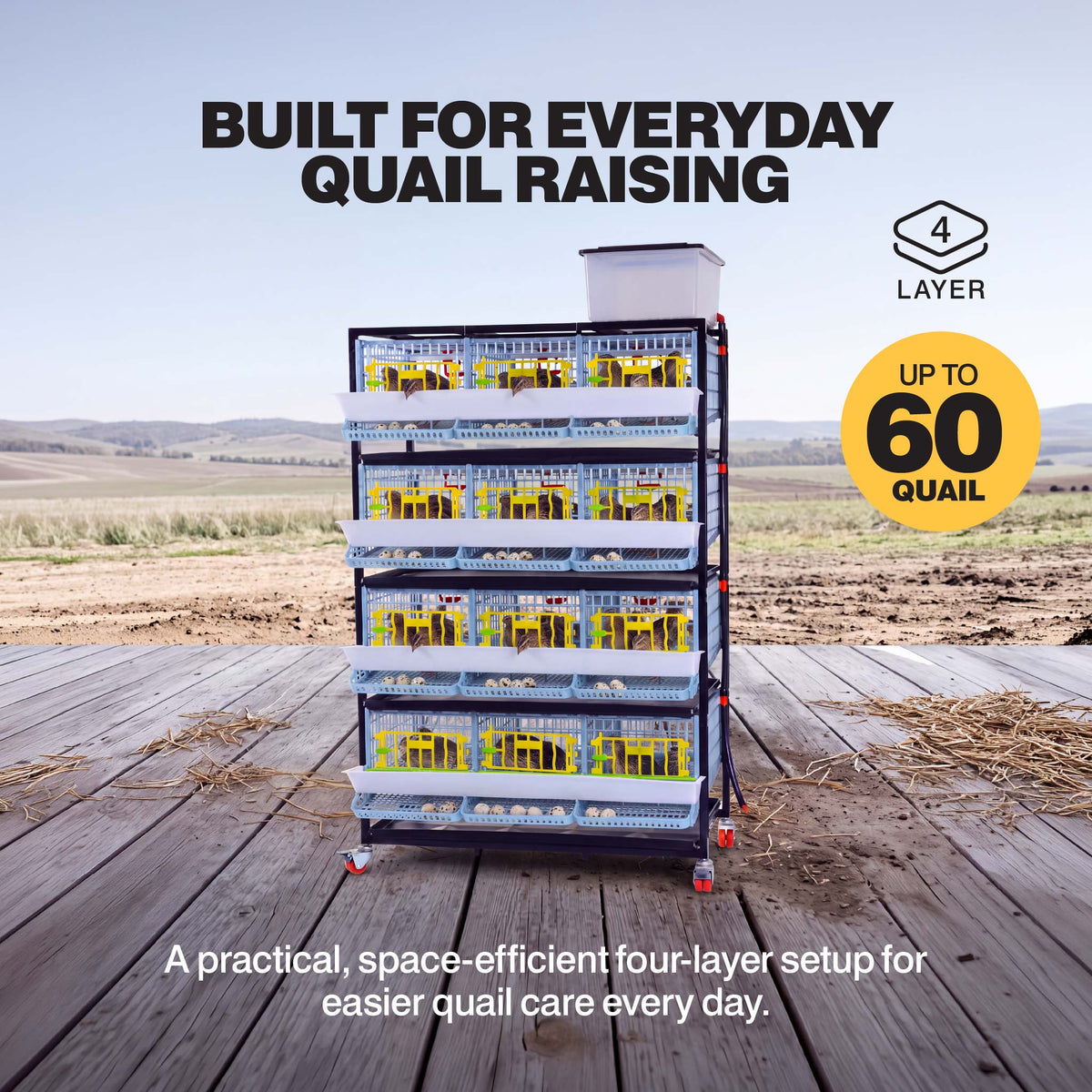 Four-layer quail breeding cage for up to 60 quail, with roll-out egg trays on each level