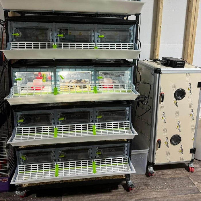 Hatching Time Cimuka. 9.5 inch chick brooders can be seen in image next to CT180 Incubator.