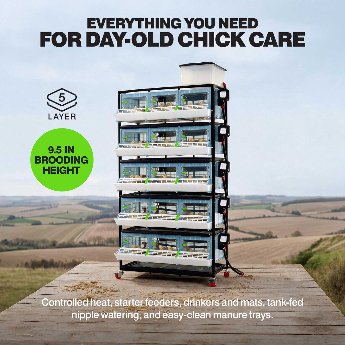 Cimuka 5-layer chick brooder infographic showing stacked brooding compartments with integrated heating, feeding, and watering systems for young poultry.