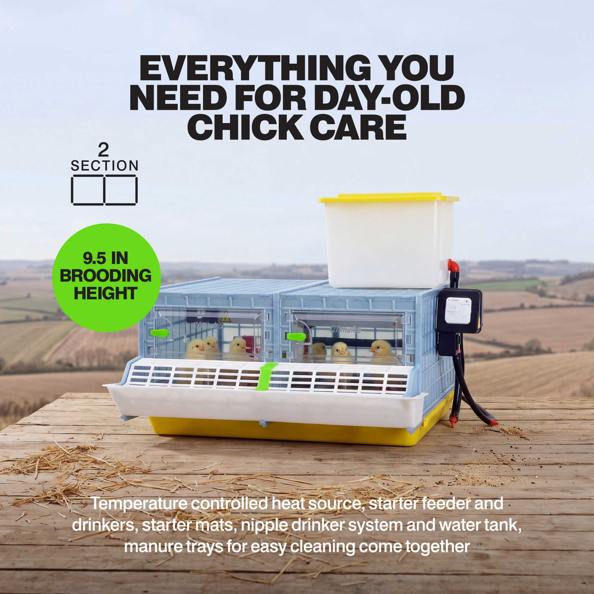 Chick Brooder - 2 Section H:9.5" (Starter Kit for Game Birds and Small Chicken Breeds)
