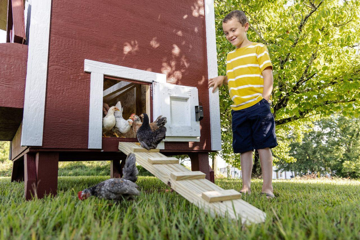 Chicken Coop - Large (Up to 15 Chickens)