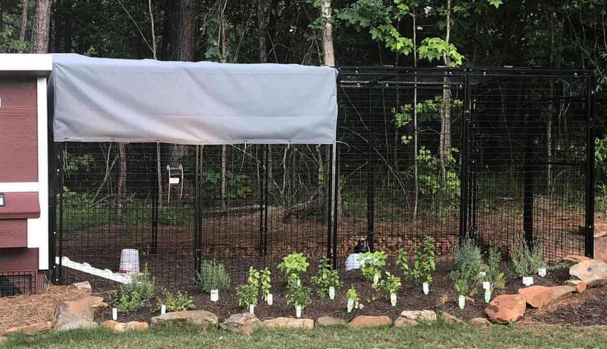 Walk-In 15 ft. Chicken Run