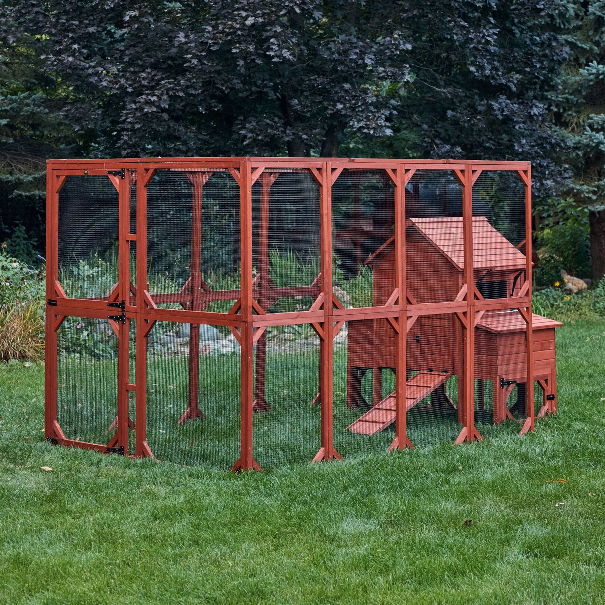 Chicken Coop for 6 Chickens - Orpington Lodge with Run Options