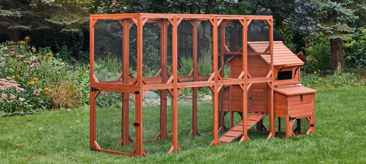 Chicken Coop for 6 Chickens - Orpington Lodge with Run Options