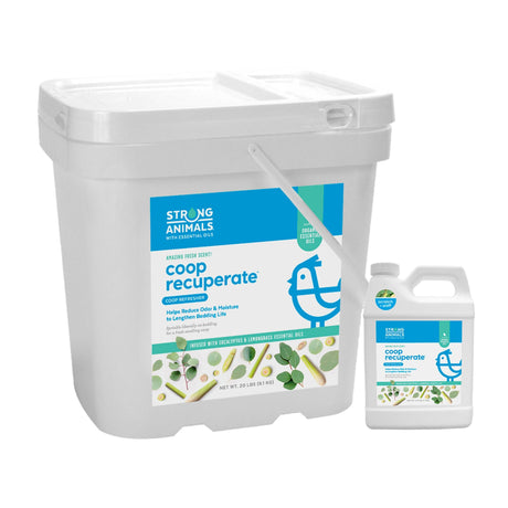 Hatching Time Strong Animals. Tub of Coop Recuperate can be seen next to jug of coop recuperate.