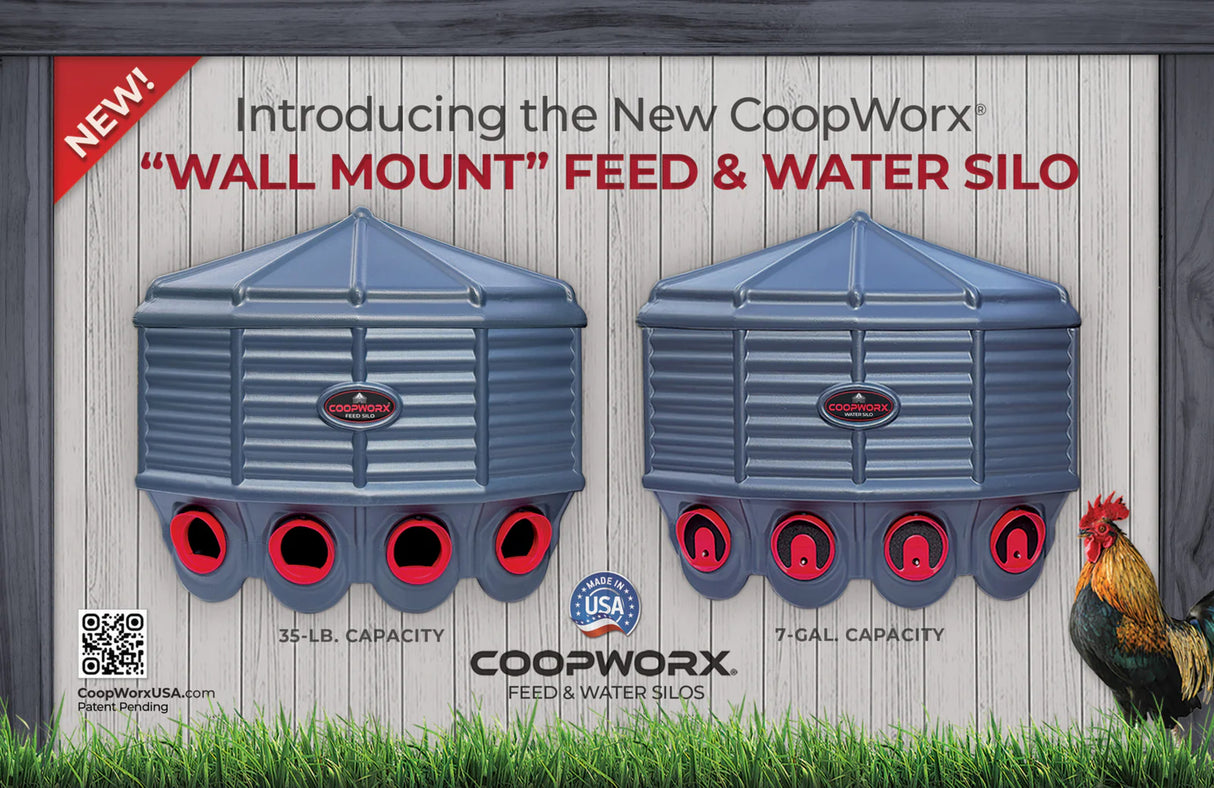 Hatching Time Silo wall mounted Coopworx Feeder and Drinker shown next to rooster in infographic.