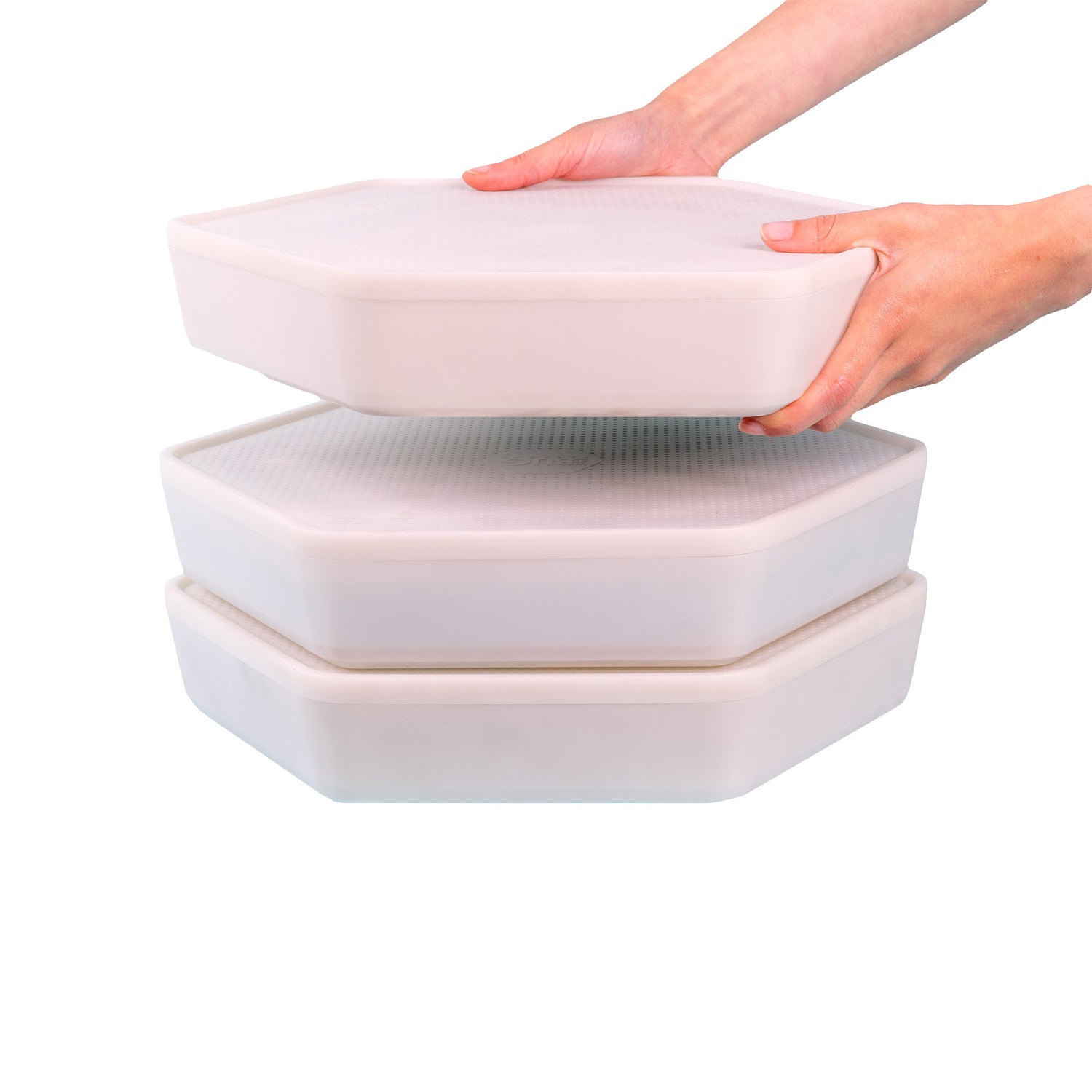 Hatching Time. Mealworm growing pods can be seen stacked in image.