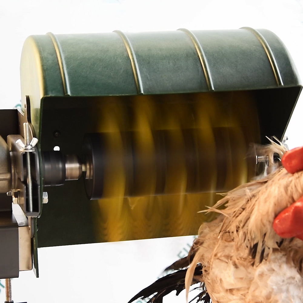 Drill-powered feather plucker in motion with yellow rubber fingers efficiently removing feathers from a bird, showcasing high-speed rotation and effective plucking performance