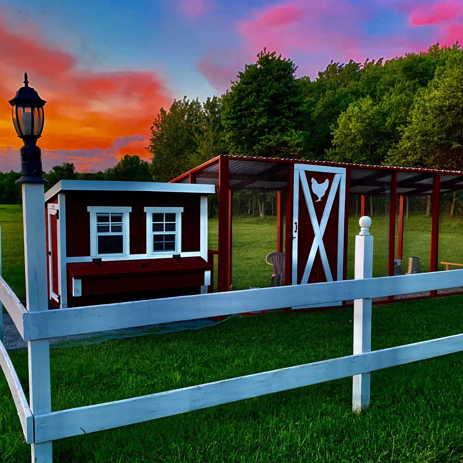 Hatching Time OverEZ. Large Chicken coop can be seen on farm grass during sunset
