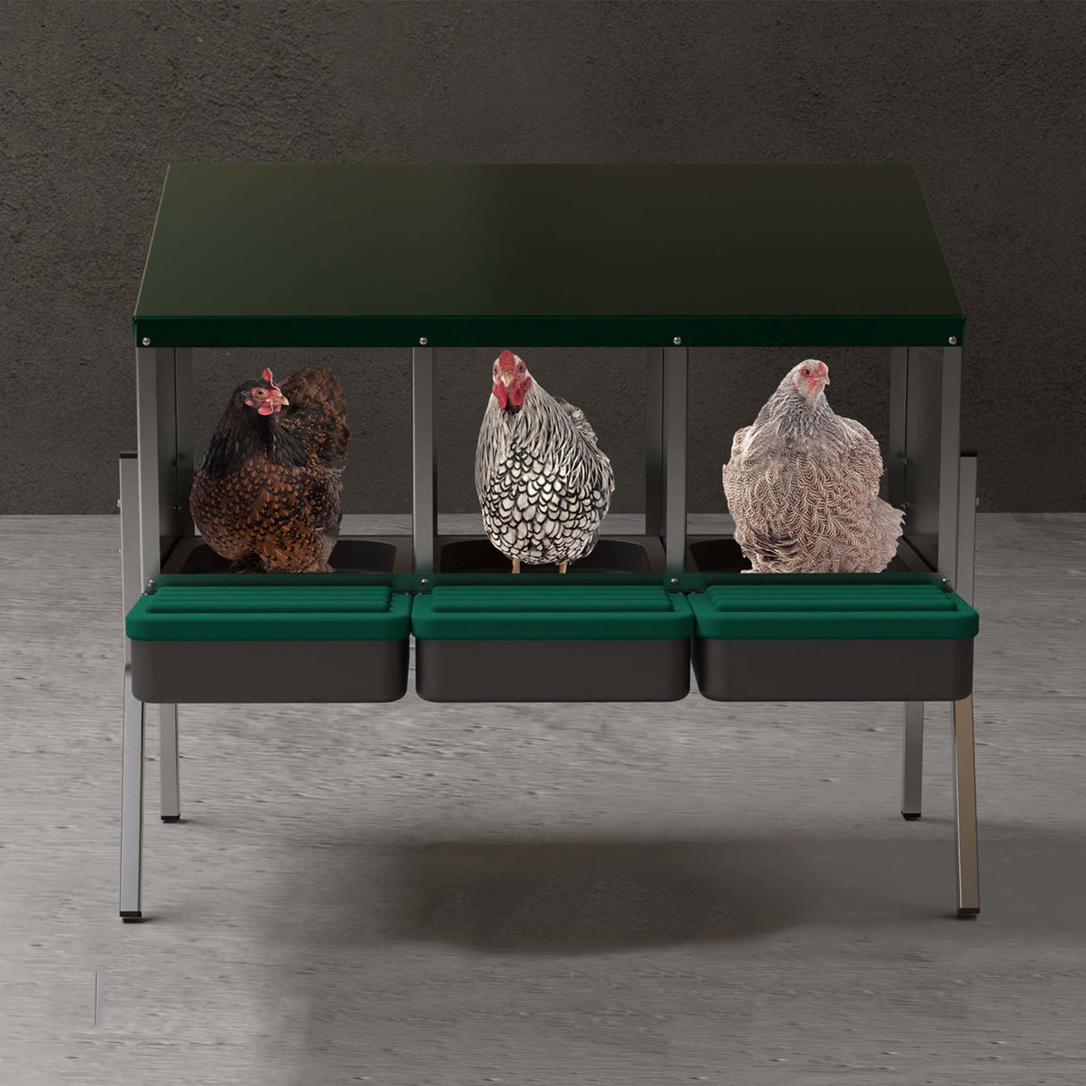 EggHouse galvanized 3-bay nesting box with roll-out trays and three laying hens inside compartments