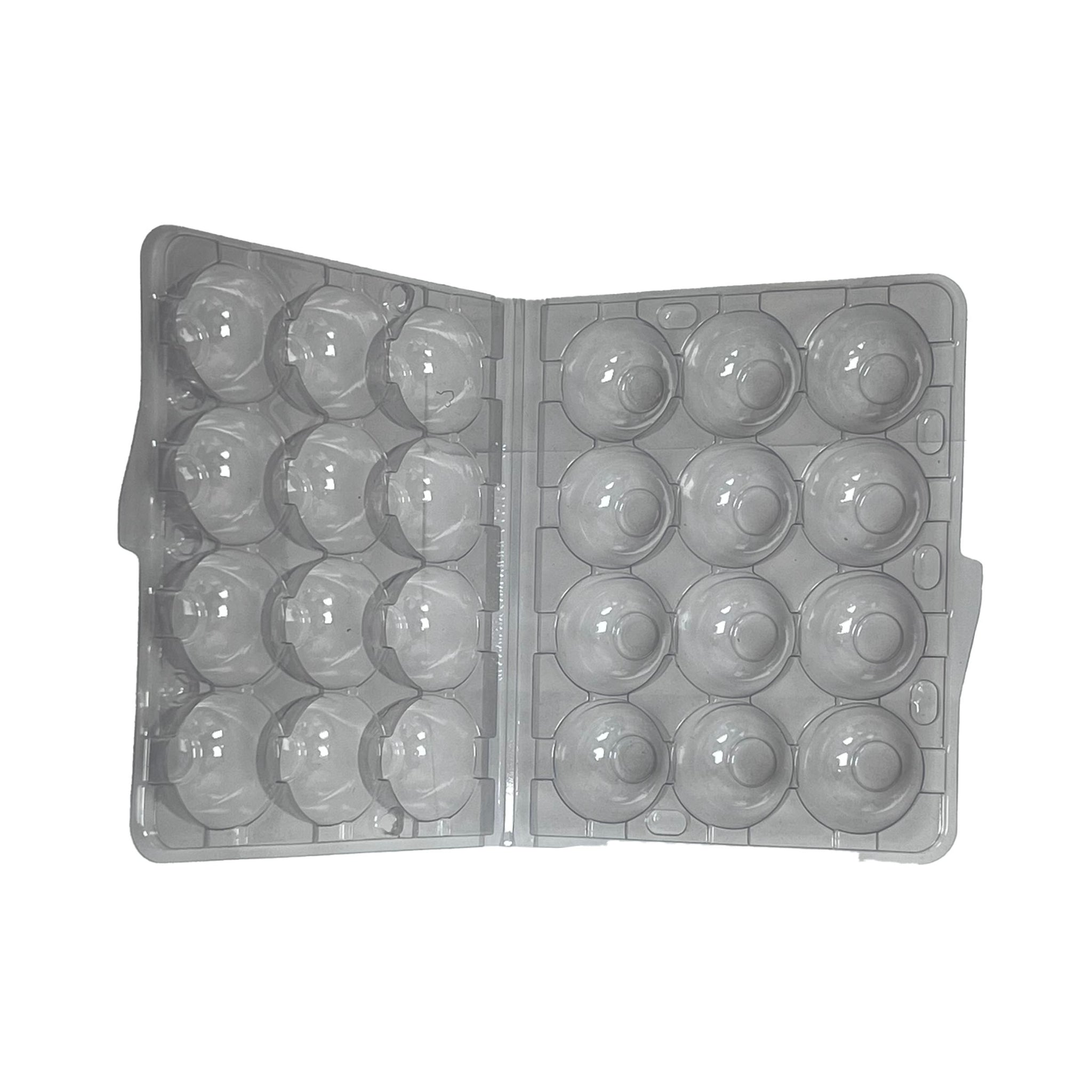 Hatching Time Quail Egg 12 count carton. Above view of Egg carton is shown with the lid open showing 12 spaces for quail eggs.