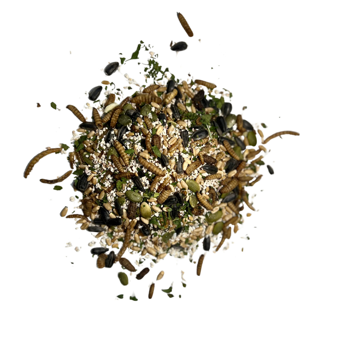 Feather and Shell Pile of dried insects and seeds on a white background