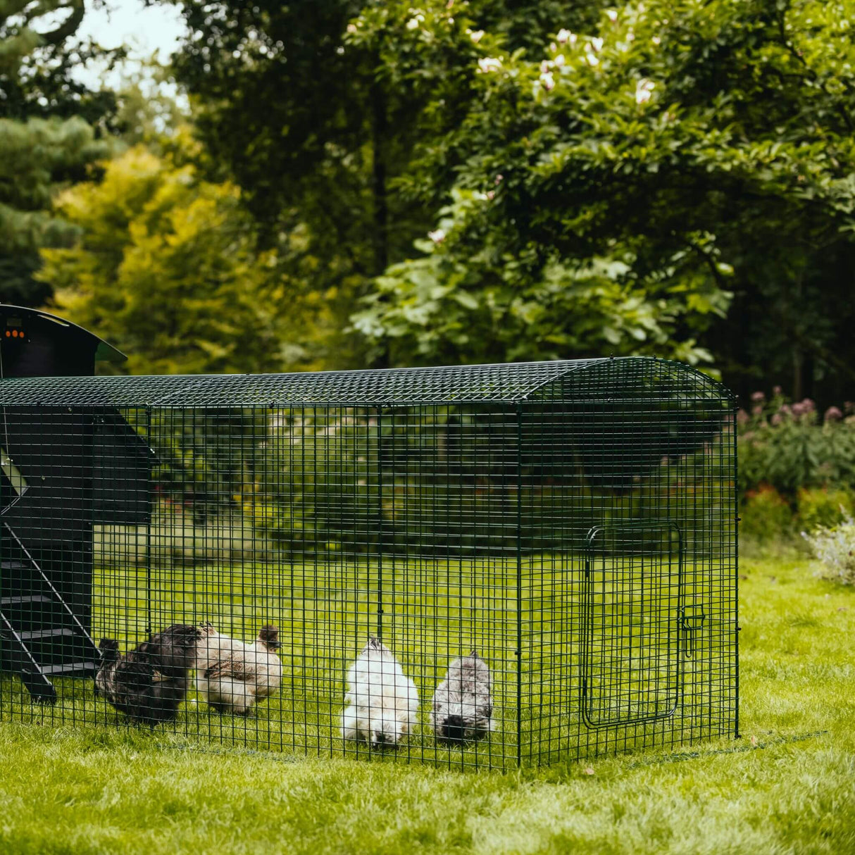 Hatching Time Nestera. Penthouse Coop bundle can be seen with 4 chickens in chicken run.