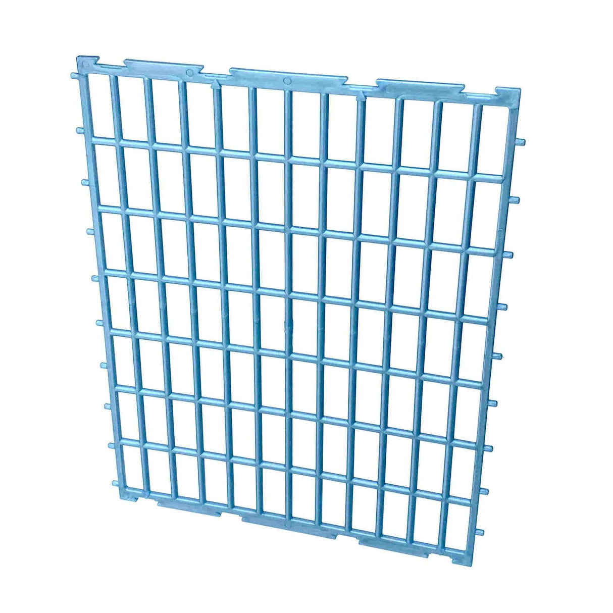 GL40 Grow Out Pen Back Wall Replacement Part - Cimuka Hatching Time