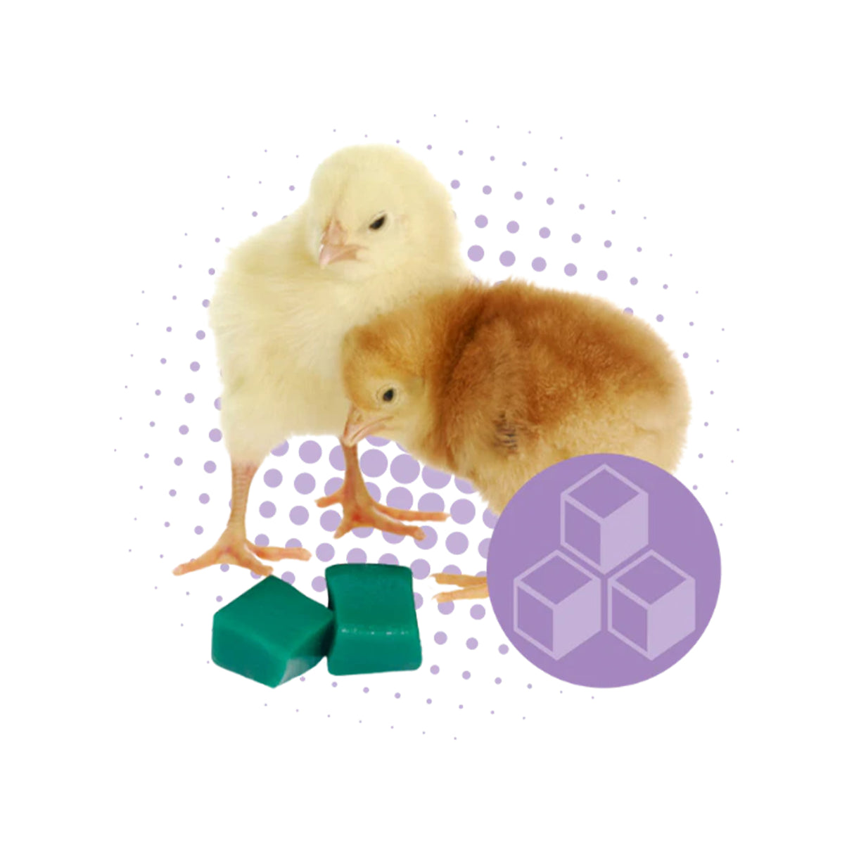 GroGel Chick Hydration - Single