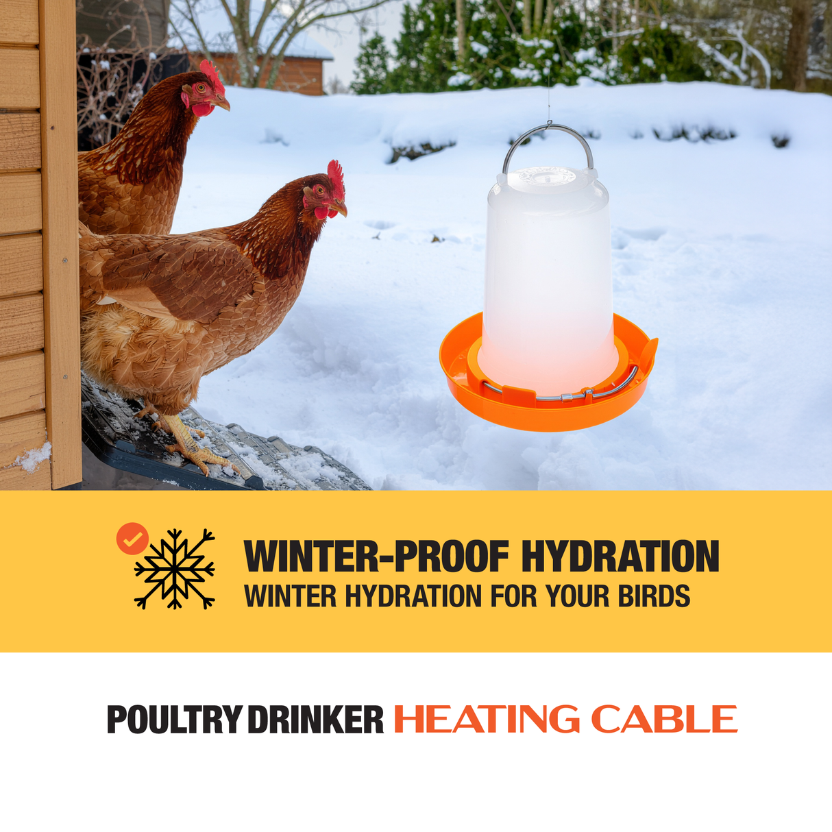Two chickens near a poultry drinker with heating cable in the snow, promoting winter-proof hydration.