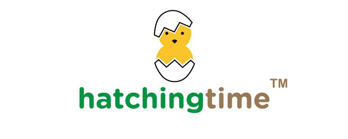 Hatching Time logo.