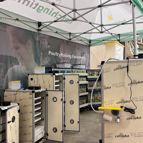 Hatching Time. Incubators and chicken cages can be seen in image at poultry show.