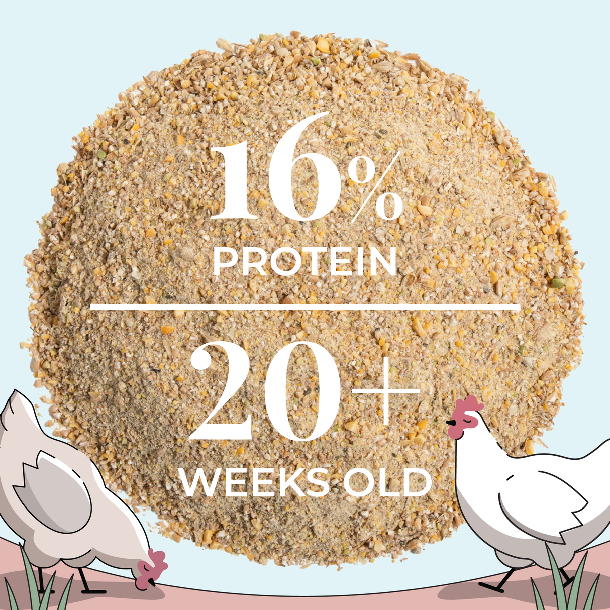 Mile Four (Layer Bundle) Organic Feed - 1 Month Supply for 6 Layer Chickens