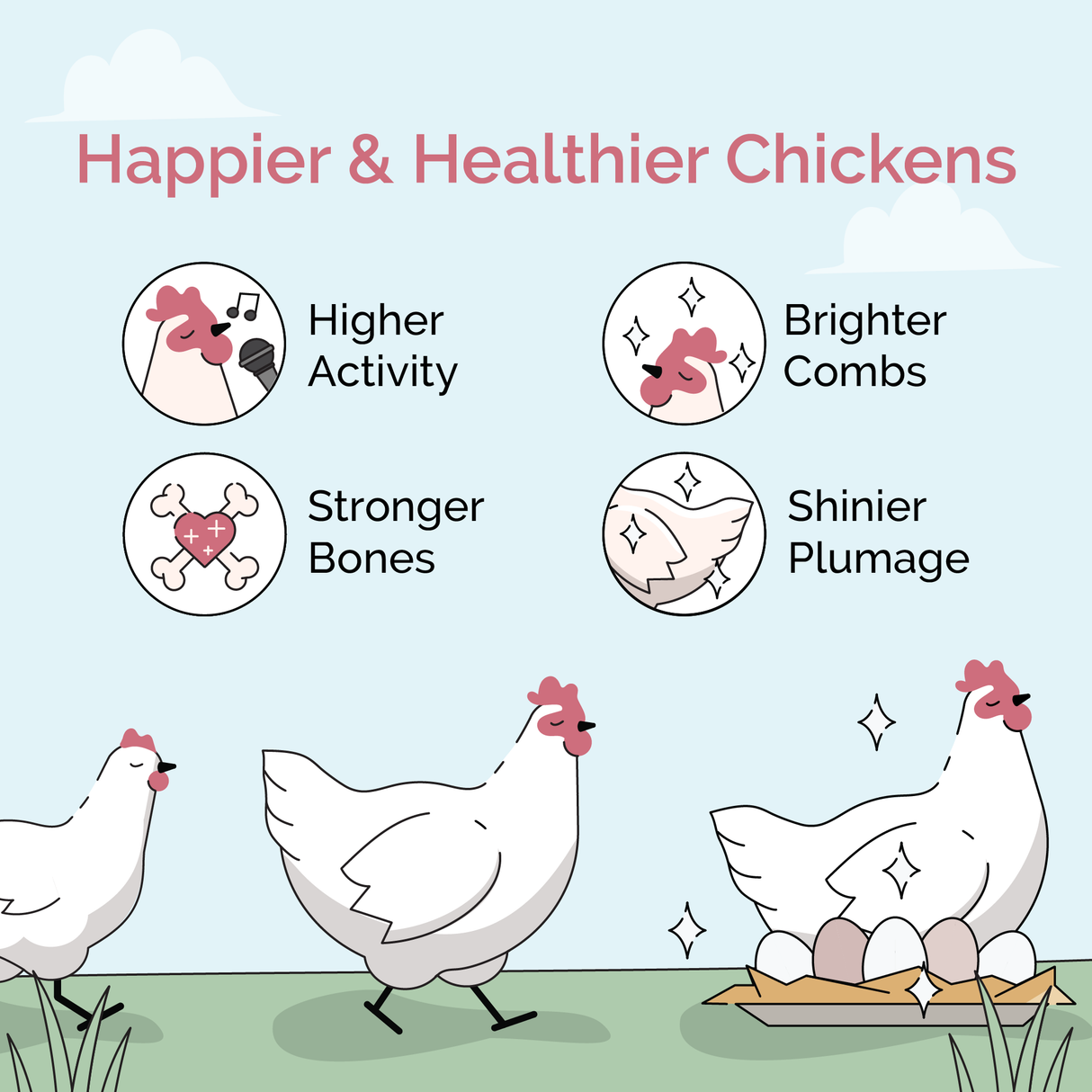 Mile Four (Grower Bundle) Organic Feed & Grit - 12 Week Supply for 6 Pullets