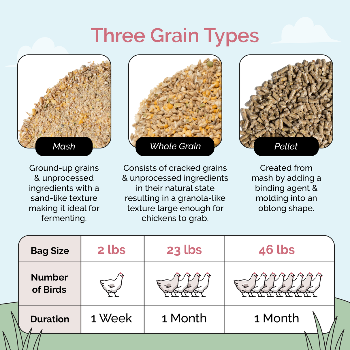 Mile Four (Grower Bundle) Organic Feed & Grit - 12 Week Supply for 6 Pullets