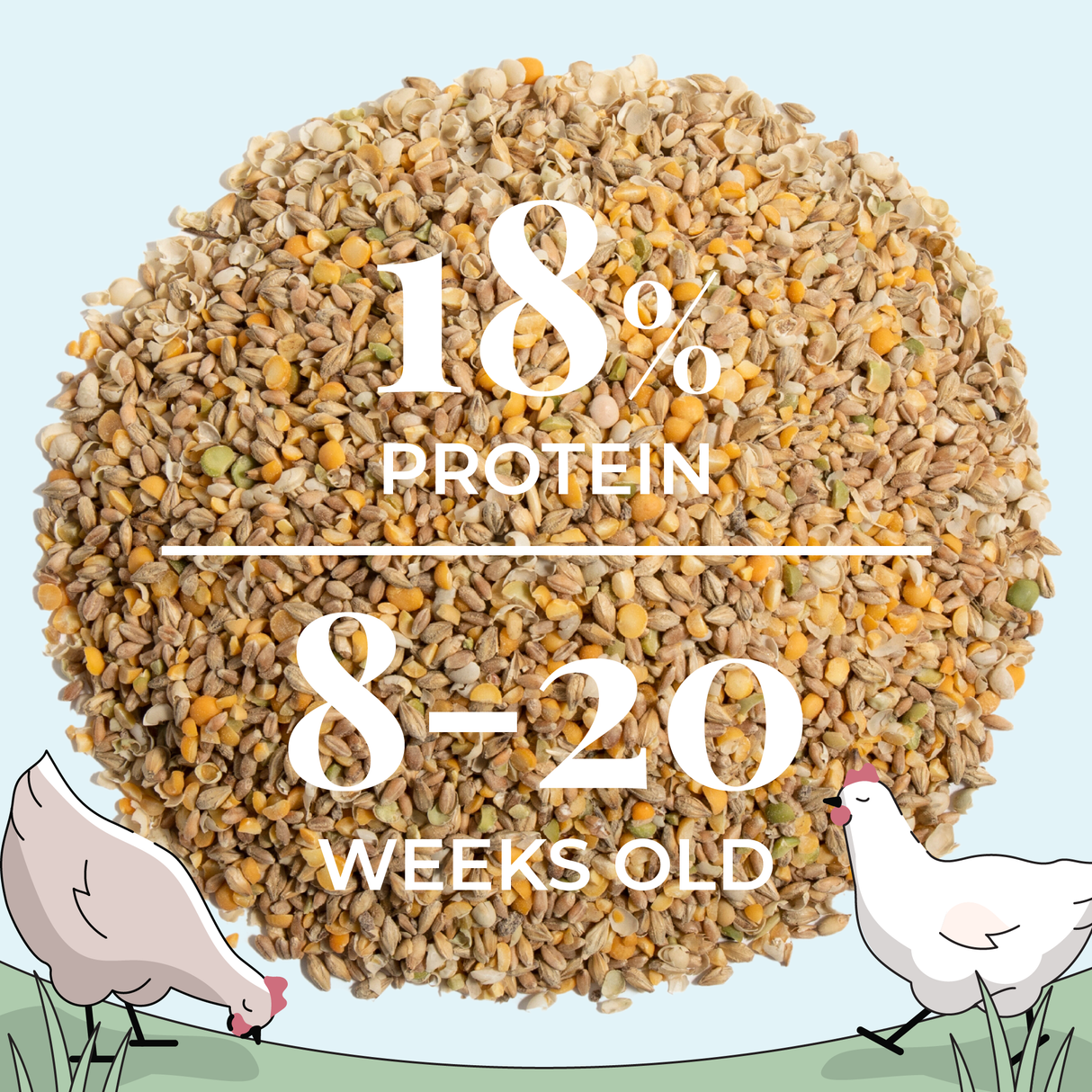 Mile Four (Grower Bundle) Organic Feed & Grit - 12 Week Supply for 6 Pullets