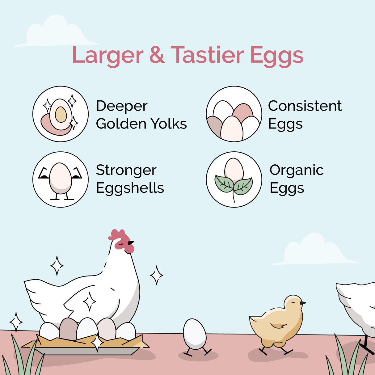 Mile Four (Layer Bundle) Organic Feed - 1 Month Supply for 6 Layer Chickens