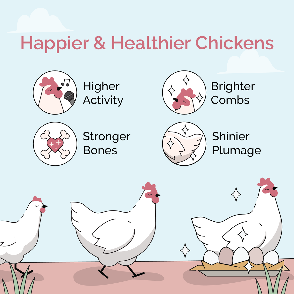 Mile Four (Layer Bundle) Organic Feed - 1 Month Supply for 6 Layer Chickens