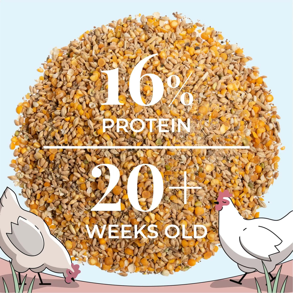 Close-up of Mile Four Organic Whole Grain Layer Chicken Feed with 16% protein formulated for laying hens 20 weeks and older.