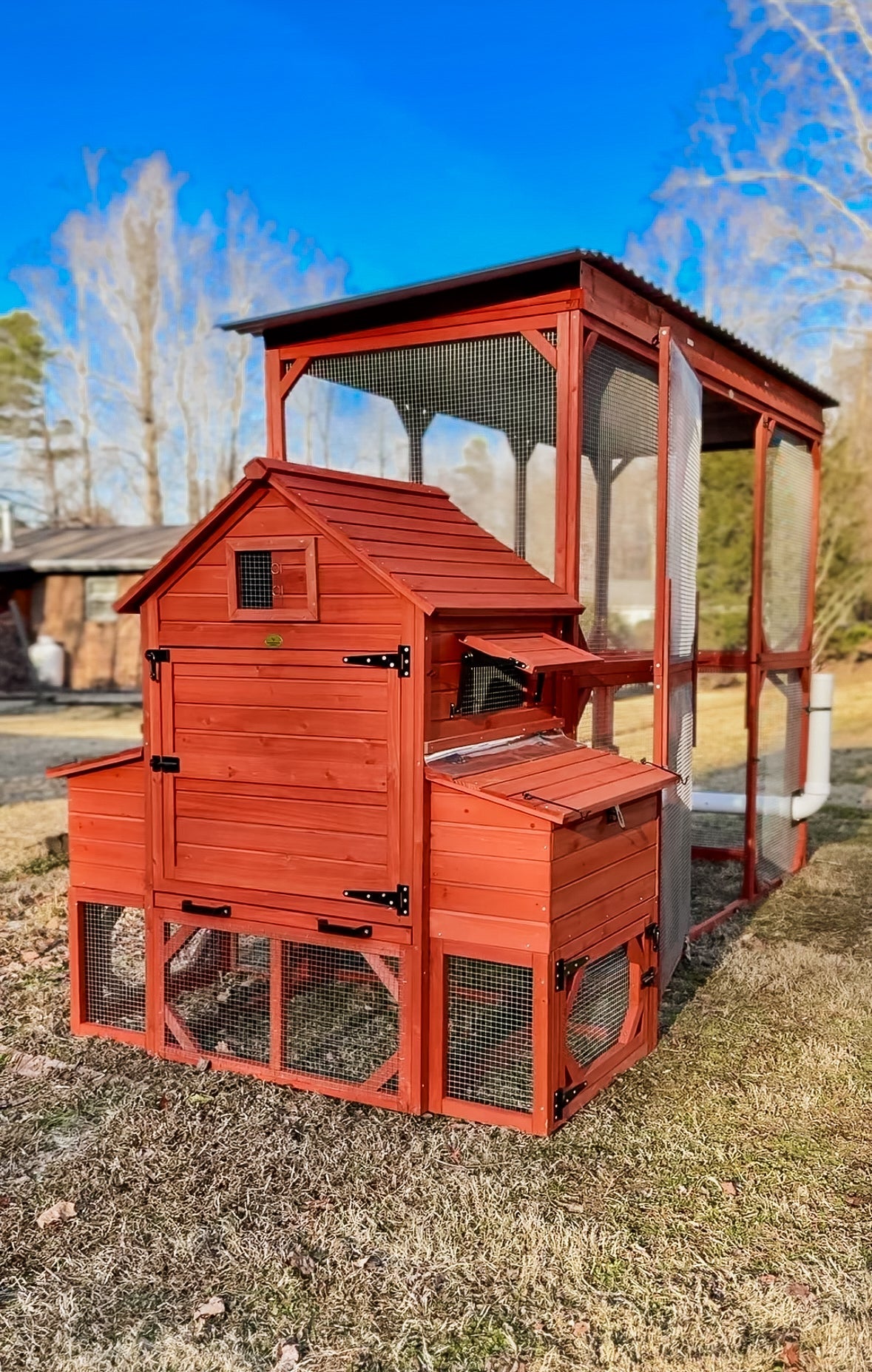 Chicken Coop for 6 Chickens - Orpington Lodge with Run Options