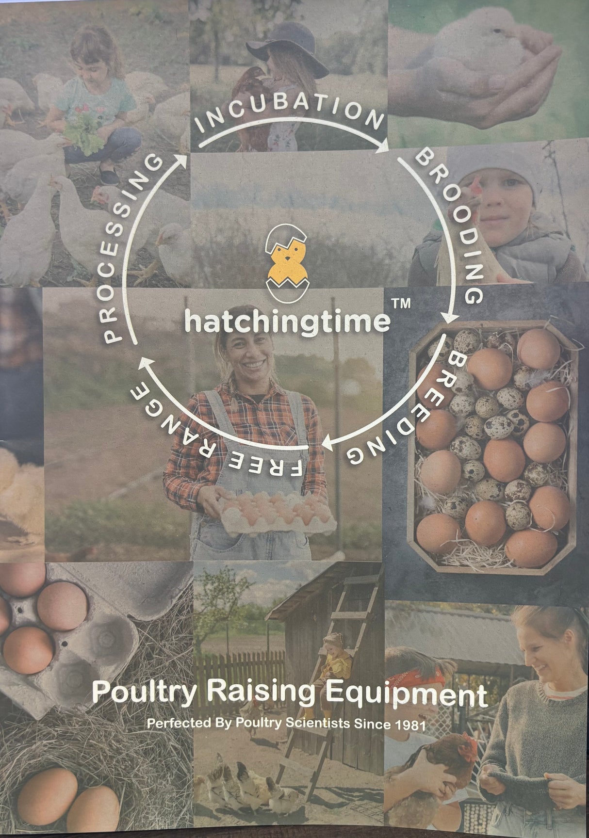 Collage of images related to poultry raising with 'hatchingtime' branding.
